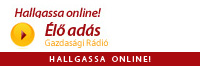 Gazdasági rádió
